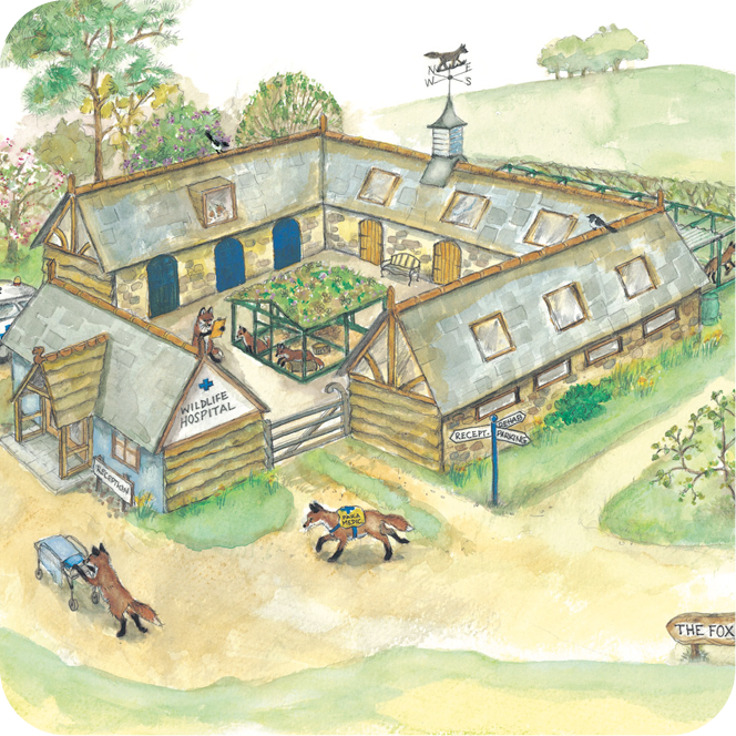 Our Future - A New Wildlife Hospital